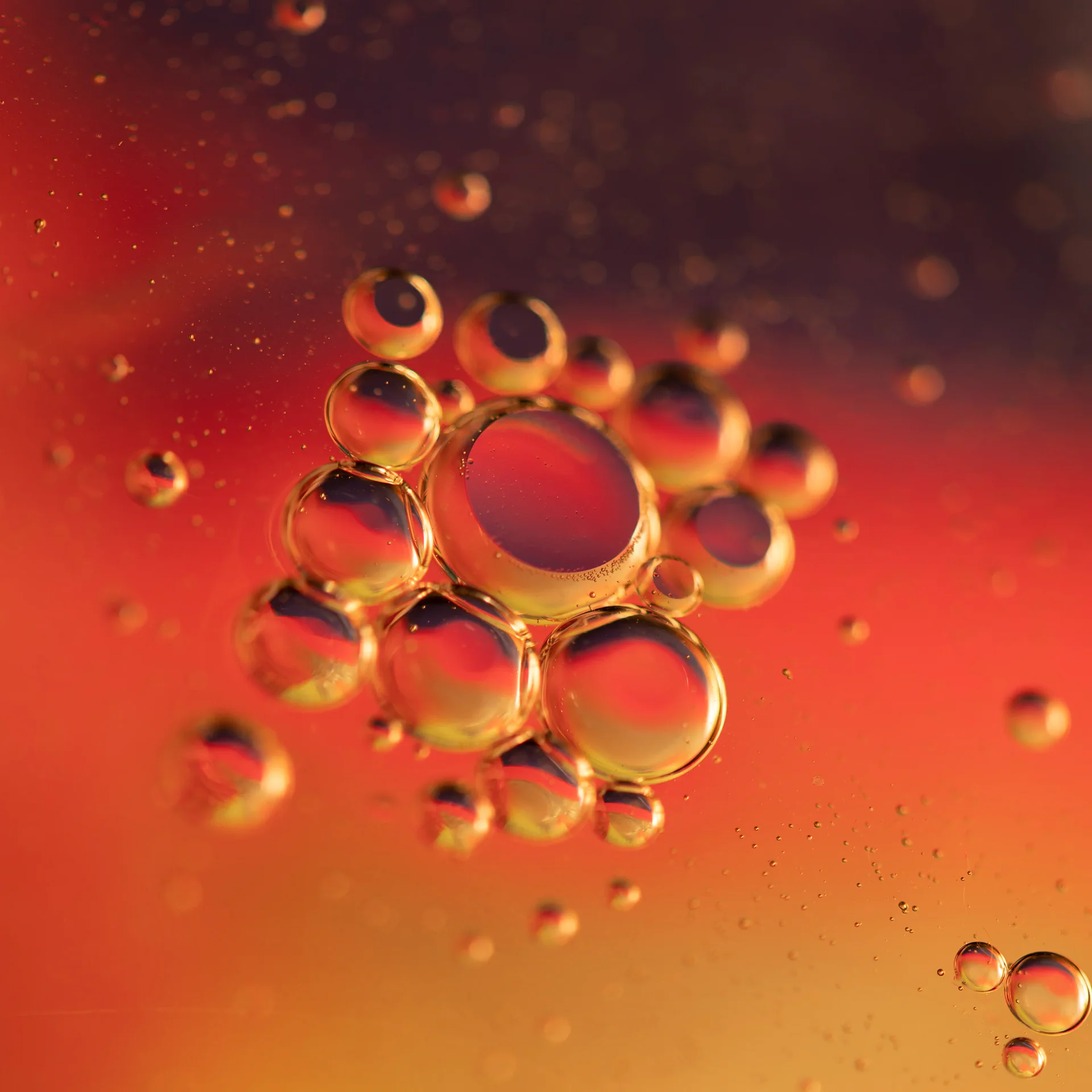 Chemical Reaction & Separation