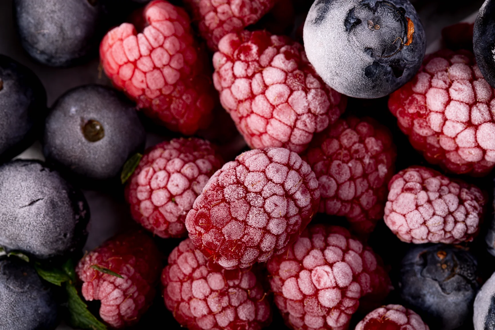 Frozen Food & Cold Chain Processing