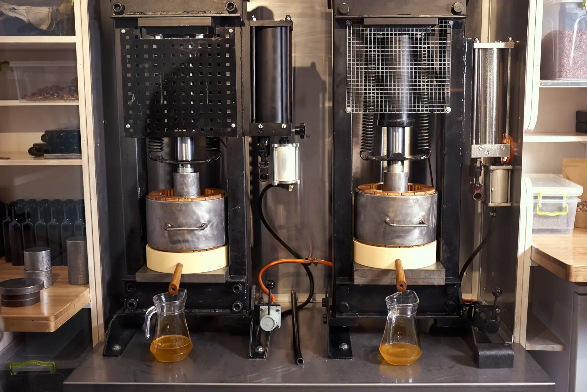 Oil Extraction & Processing Equipment