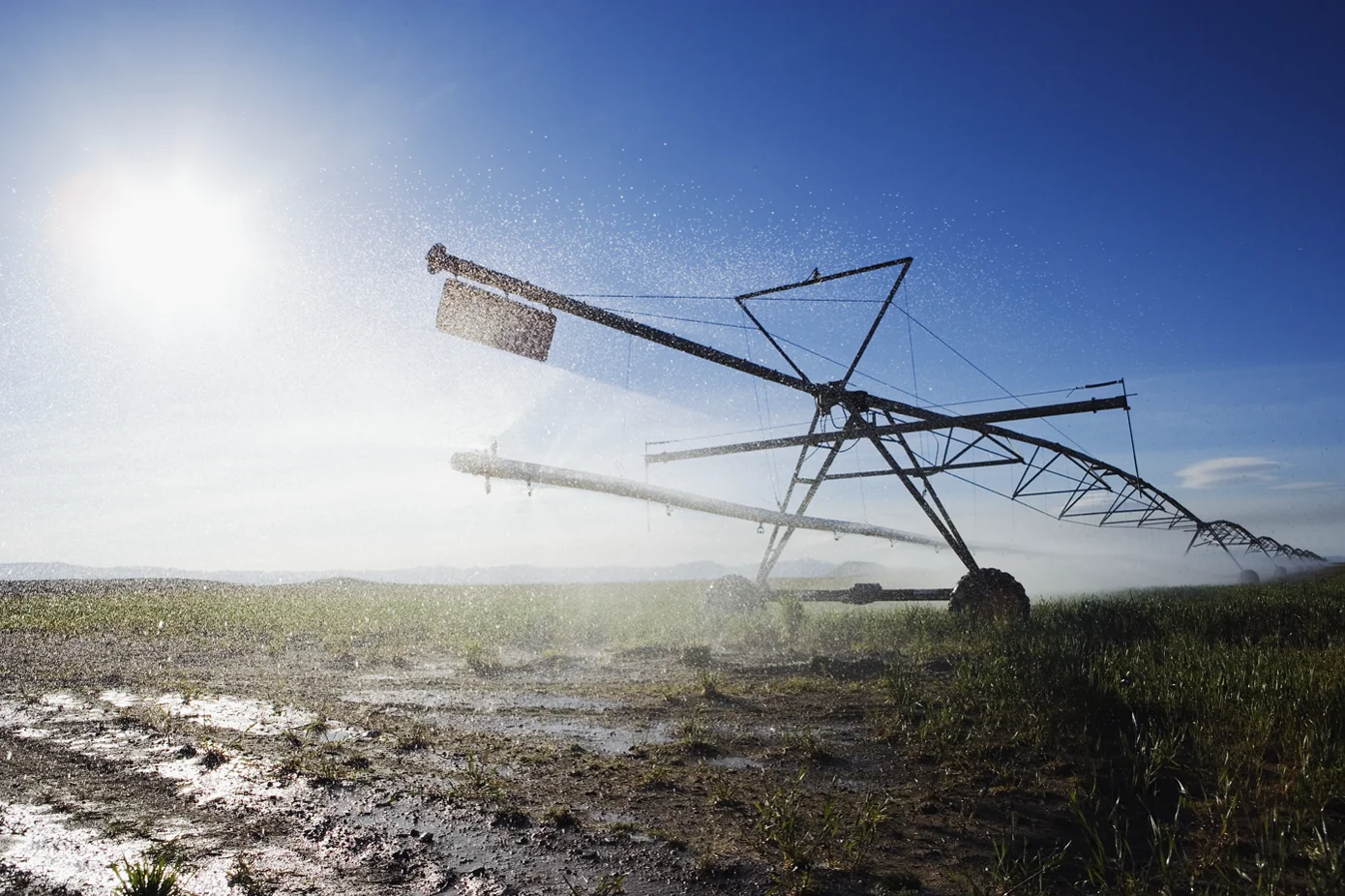 Planting & Irrigation Machinery