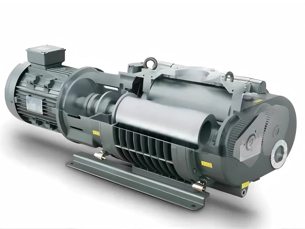 Roots Vacuum Pump