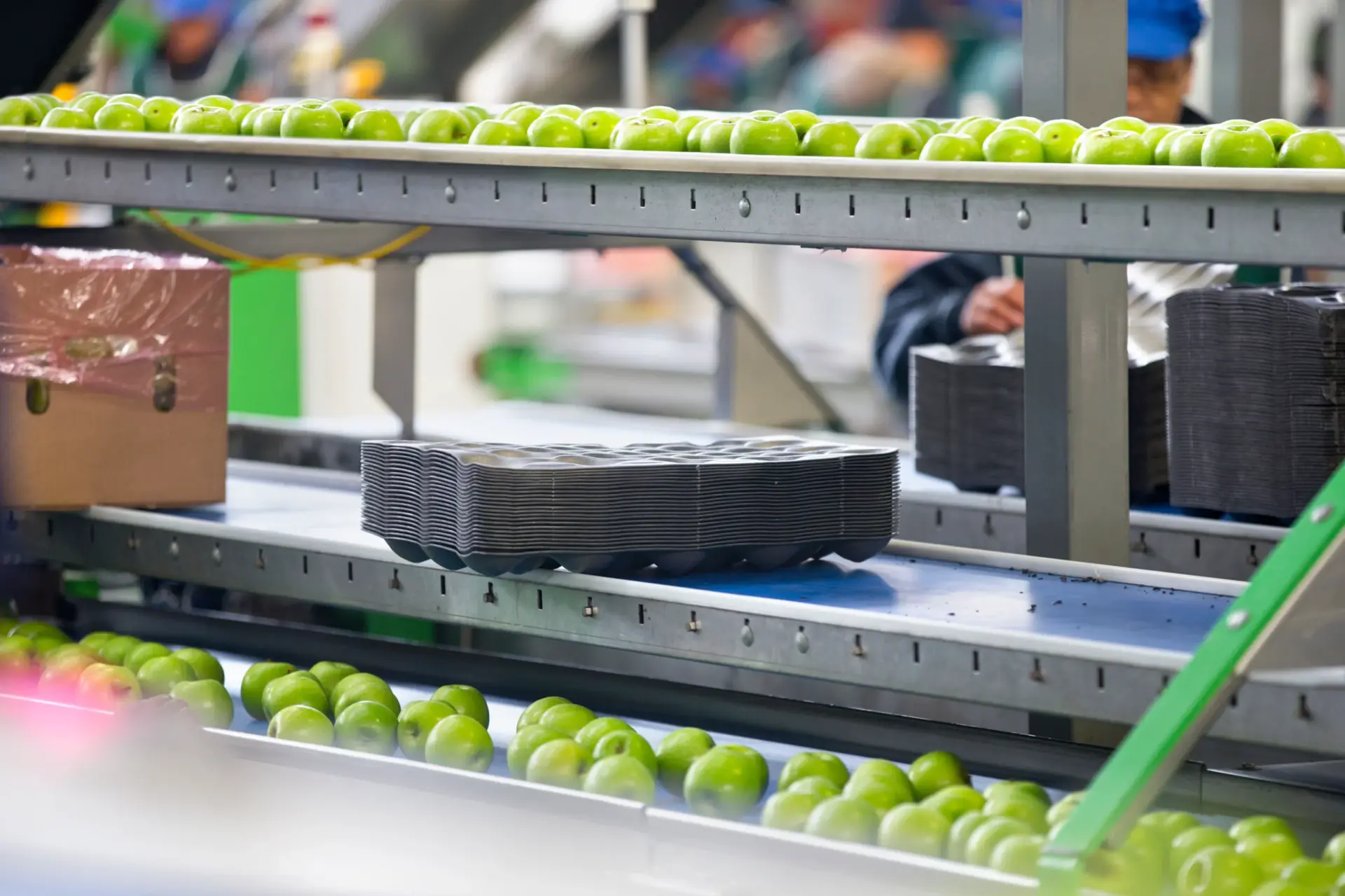 Food, Light‑Industry Processing & Packaging Equipment